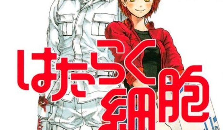 Hataraku Saibou